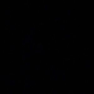 Meet your Posher, Xavier